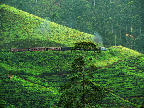 post2 nuwaraeliya4.jpg